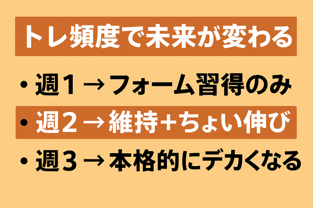 【保存版】トレーニング頻度で未来が変わる｜週1・週2・週3の“正解”を科学的に解説